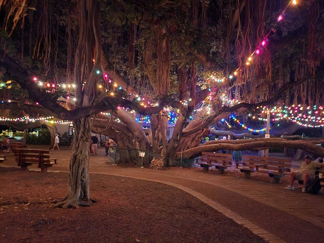 Banyan-Tree.jpg