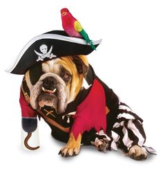 0ec76f0a4858a68f9b8ed55d603942c7--pirate-costumes-dog-halloween-costumes.jpg