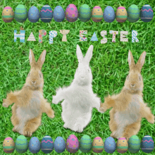444276-Dancing-Bunnies-Happy-Easter-Gif.gif